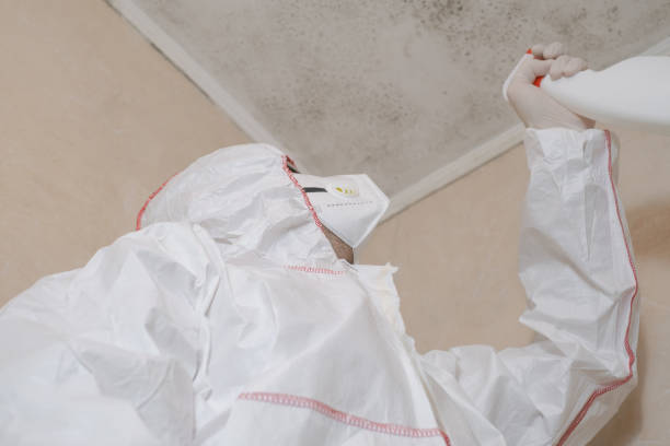 Best Mold Remediation Experts  in Pueblo West, CO